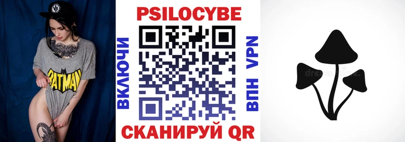 Псилоцибиновые грибы Psilocybine cubensis  Александров 