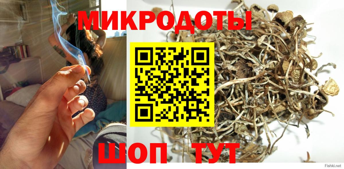 Галлюциногенные грибы мицелий Александров