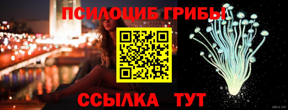 Псилоцибиновые грибы Psilocybine cubensis  Вход с VPN  Галлюциногенные грибы Cubensis  Александров 